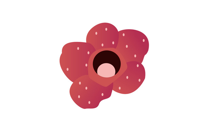 简约扁平画风植物类大王花mg动画