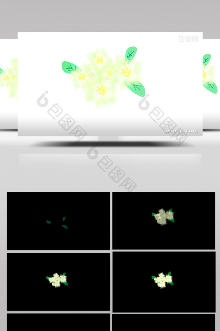 简约扁平画风植物类茉莉花mg动画