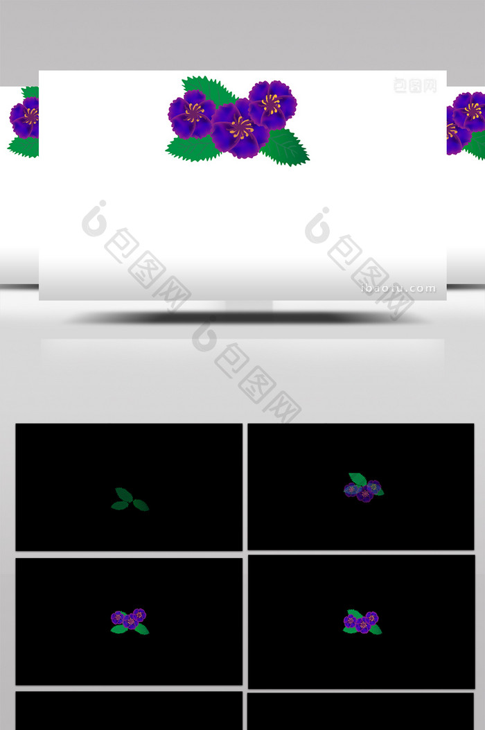 简约扁平画风植物类紫罗兰mg动画