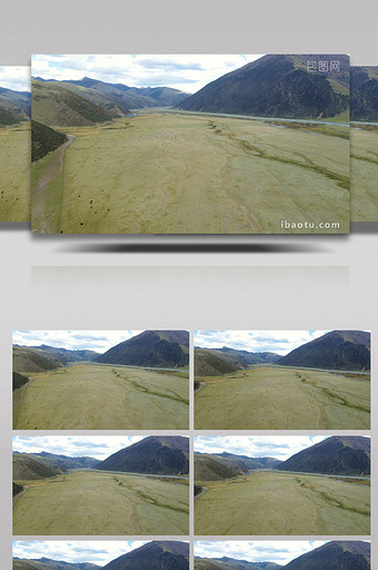 4K航拍宏伟中国青藏高原草原风景牦牛群图片