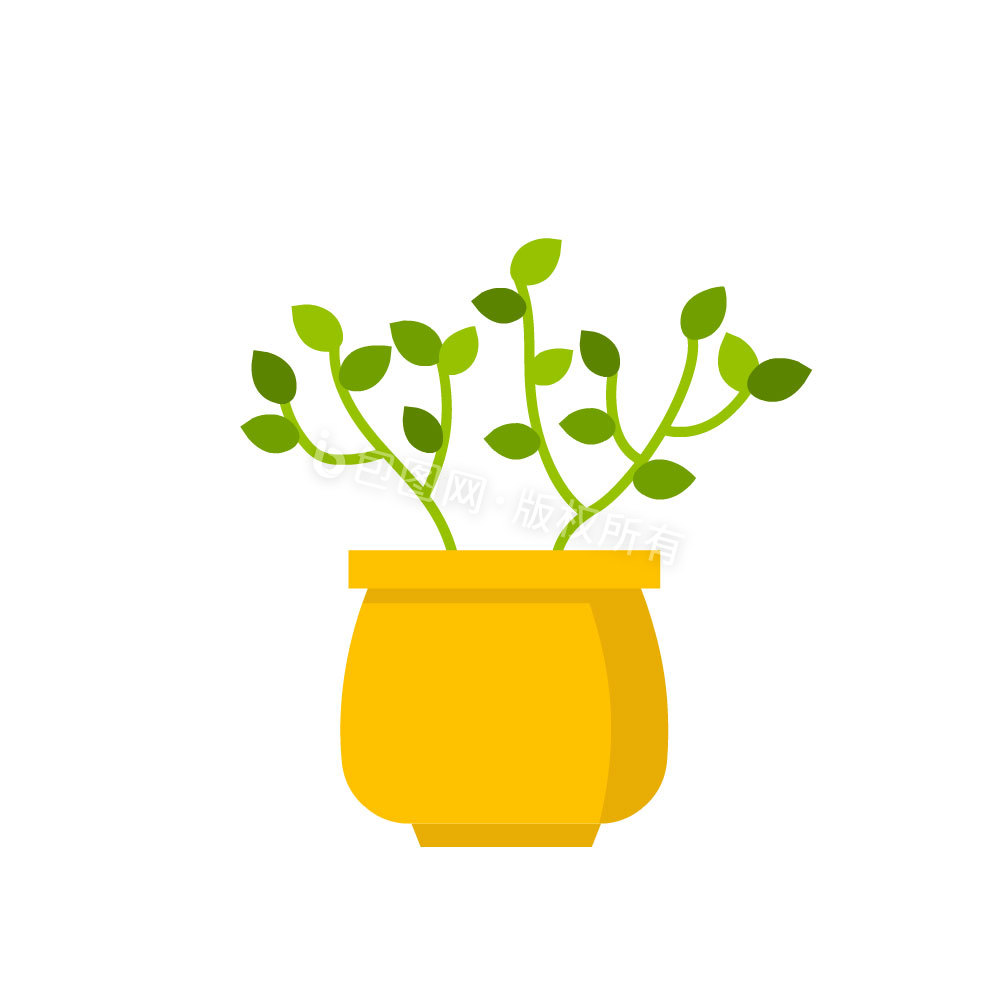 绿色植物盆栽生长过程动图GIF图片