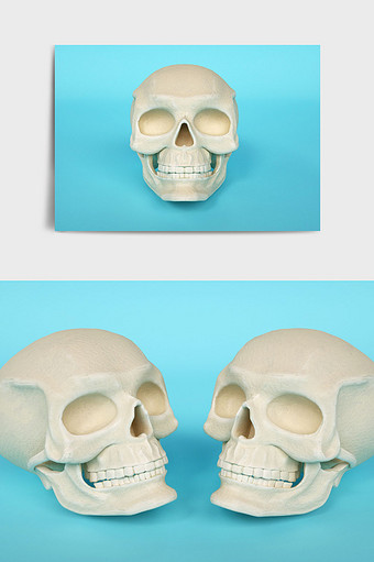 个性定制人体白骨头颅骨骼主题C4D元素图片
