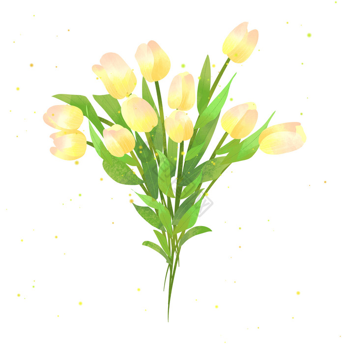 世界环境日花卉植物郁金香图片