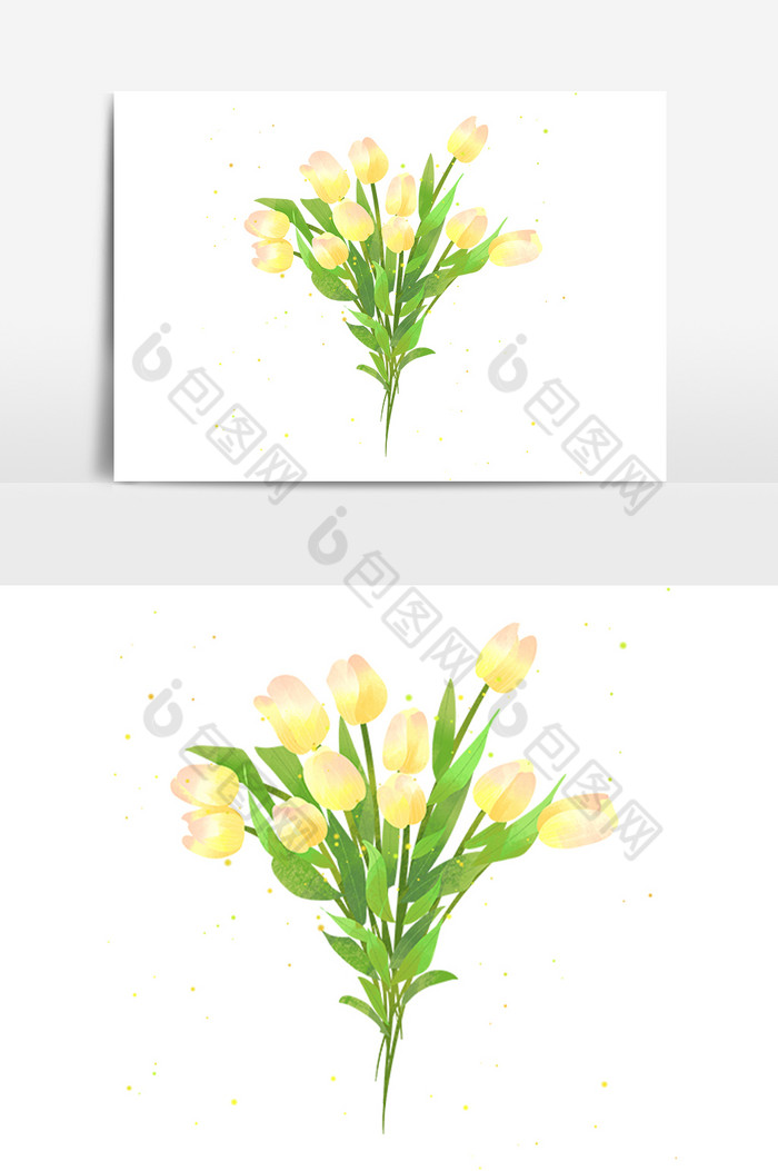 世界环境日花卉植物郁金香图片图片
