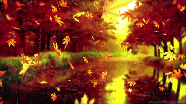 唯美大气秋天树叶掉落4k视频素材
