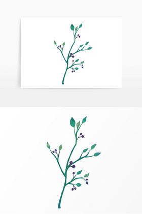 大自然蓝莓枝条植物