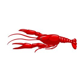 海鲜食材红色小龙虾