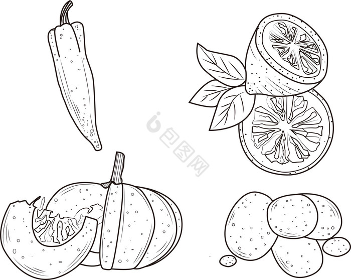 蔬菜水果线稿图片