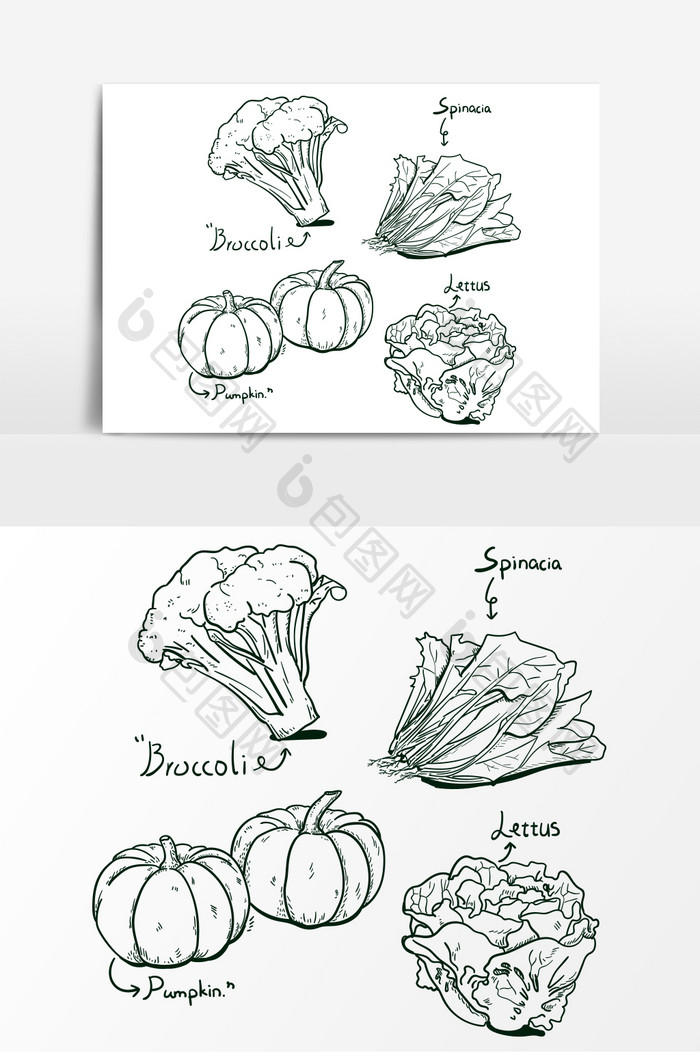 手绘素描INS风蔬菜南瓜矢量素材