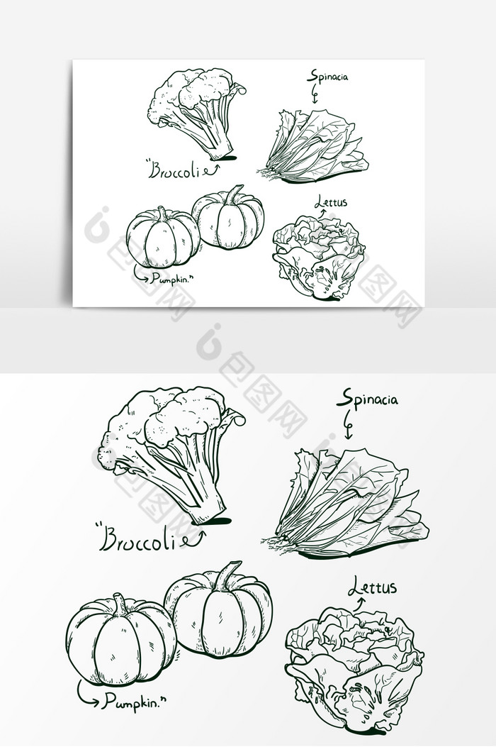 素描INS风蔬菜南瓜图片图片