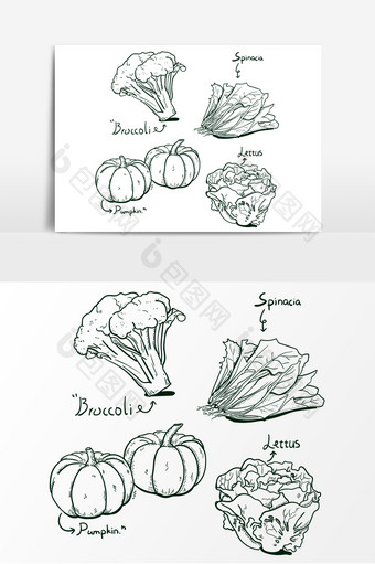 手绘素描INS风蔬菜南瓜矢量素材图片