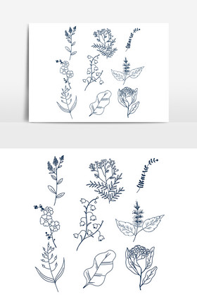 线条植物素描