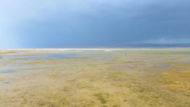 风景湿地野生鸟类风景4K航拍视频