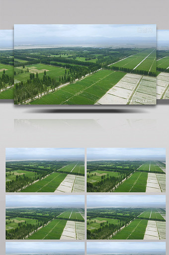 风景甘肃阿克塞戈壁田园风光4K航拍素材图片