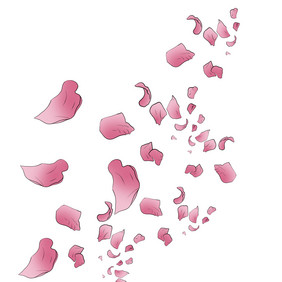 手绘飞扬的鲜花粉色花瓣插画鲜花