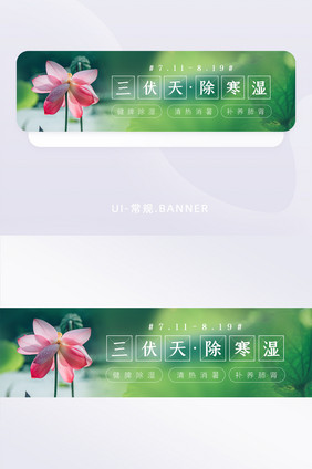 绿色清新三伏天除寒湿banner