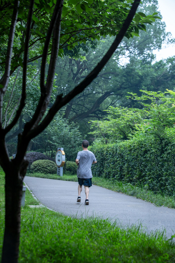 公园晨练跑步的人图片