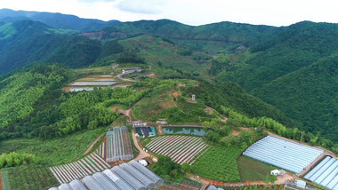 农业宁波宁海高山蔬菜种植基地航拍