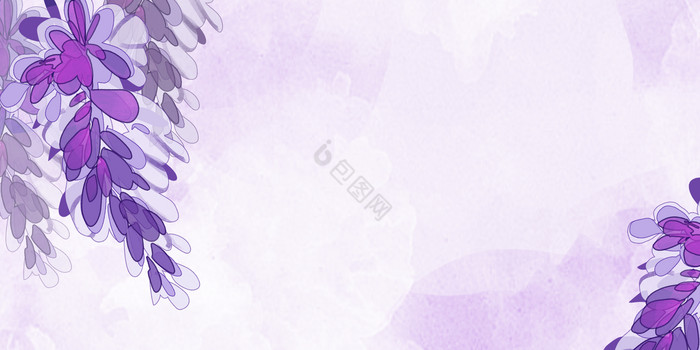 紫藤花花朵图片