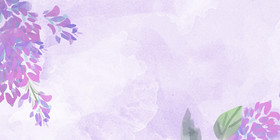 紫藤花花朵