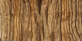 木头树木木纹底纹