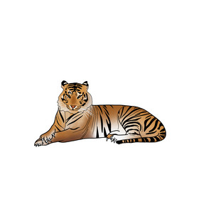 大老虎东北虎动物切开水果苹果大促大雪中的玫瑰花月季拟人水果西瓜