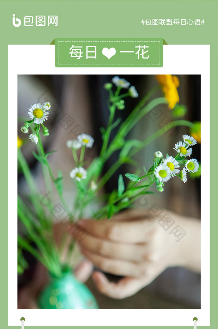 绿色清新每日一花雏菊正能量日签手机配图