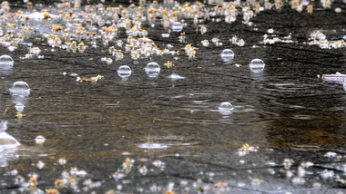 写意简约清爽夏季雨季路面实拍素材