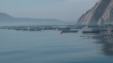 行业职业渔业养殖海上网箱养鱼渔民海水养殖