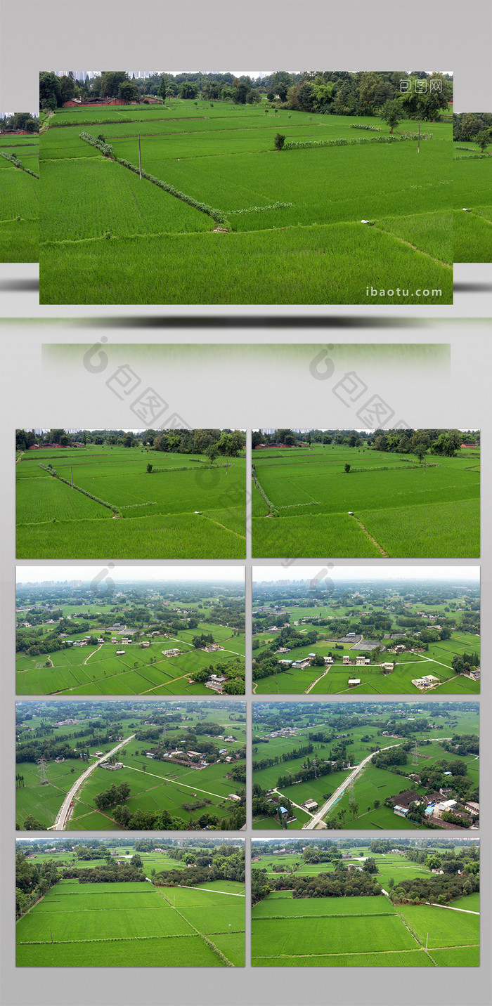 自然清新农村农田稻田航拍视频素材