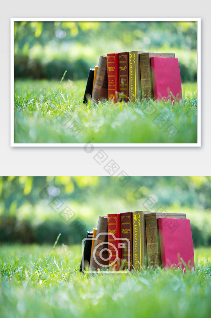 草地上的学习书本图片图片