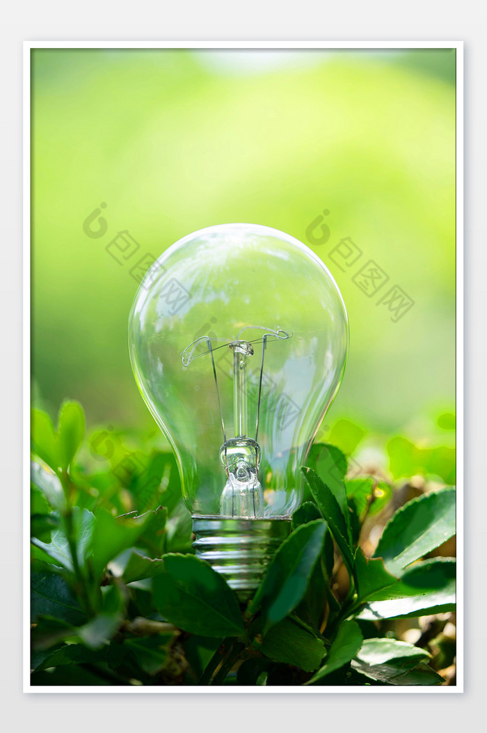 绿叶上的环保灯泡图片图片