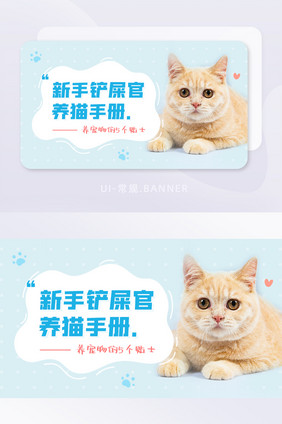 新手养猫养狗宠物攻略手册宣传banner