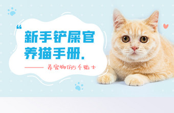 新手养猫养狗宠物攻略手册宣传banner图片