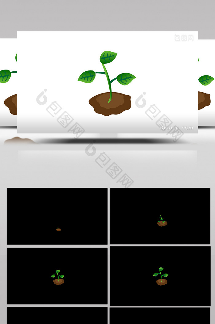 简约扁平画风植树节类带泥土的树苗mg动画