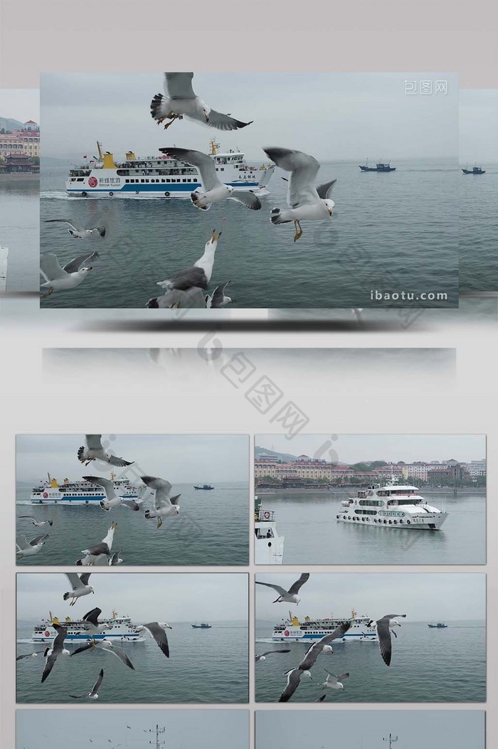 交通运输海上客运游轮海鸥飞翔轮船行驶