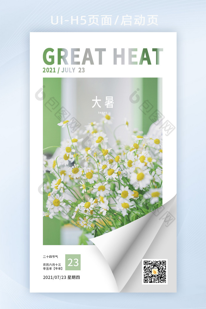 大暑节气清凉夏日野菊花H5页面启动页图片图片