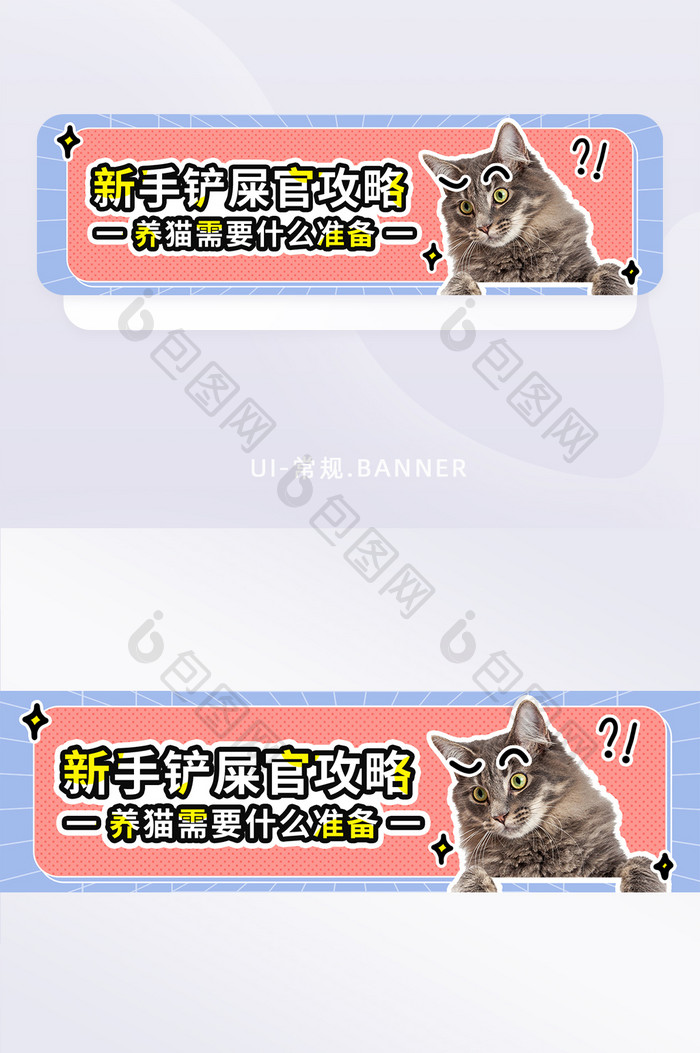 孟菲斯线上培训宠物养猫攻略banner