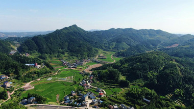 自然风光乡村田园农业种植地航拍视频