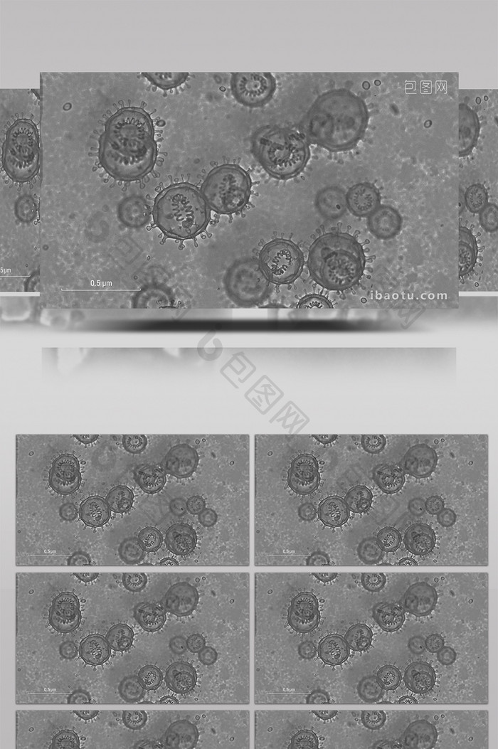 新冠病毒毒株特写高清背景视频