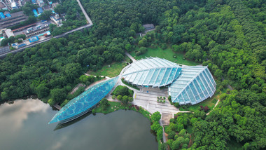 城市地标风景南京中山植物园4K航拍