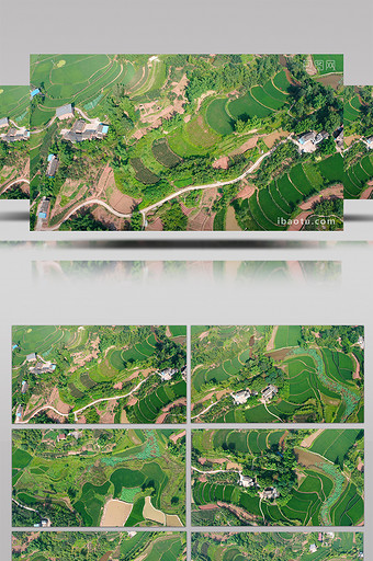 行业大气农村农田乡村风景农业经济航拍图片