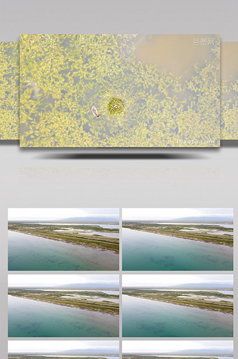 青海省青海湖自然生态系统4K航拍图片