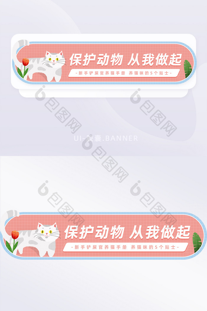 简约清新保护动物从我做起banner