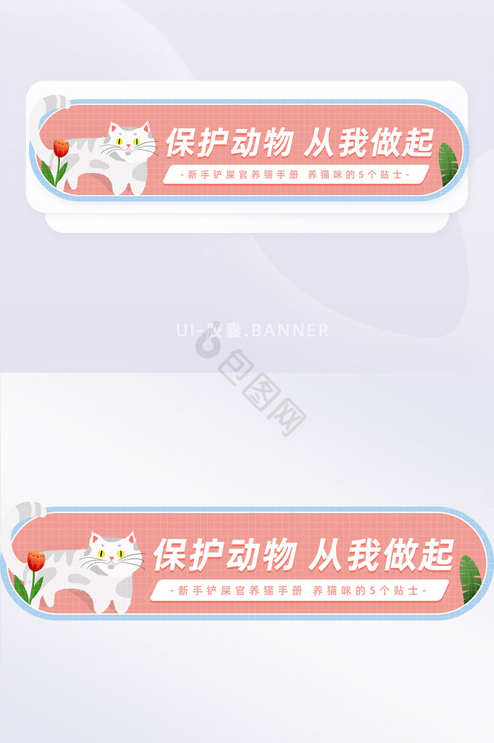 简约清新保护动物从我做起banner图片