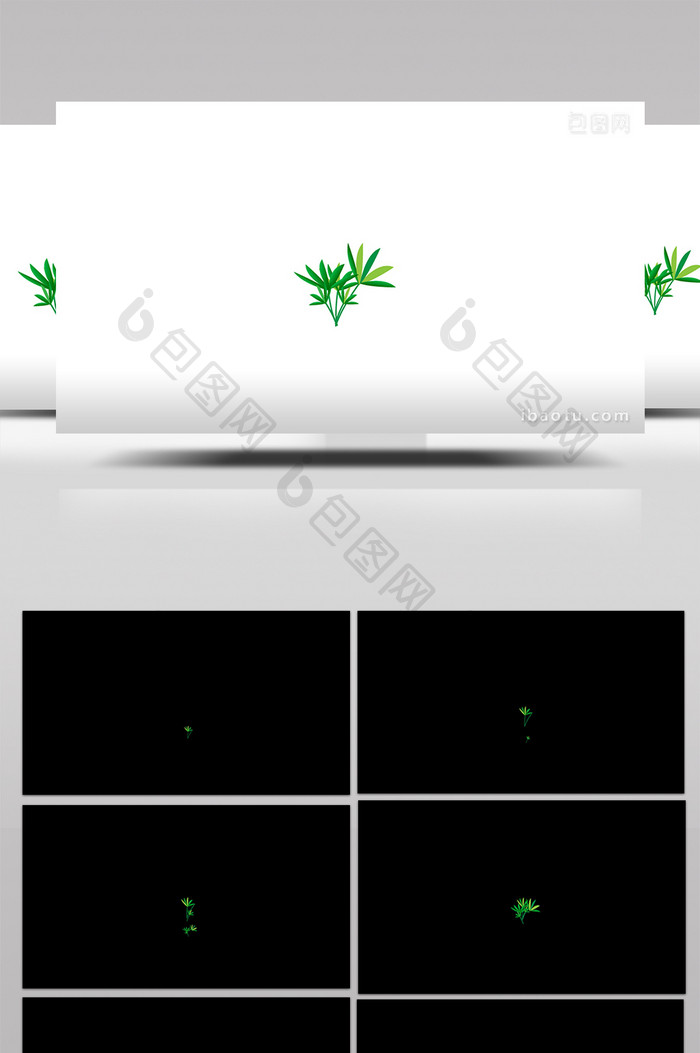 简约扁平画风自然春天元素类竹苗mg动画