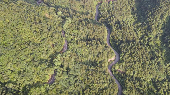 自然风光森林中蜿蜒盘山山路航拍航拍视频