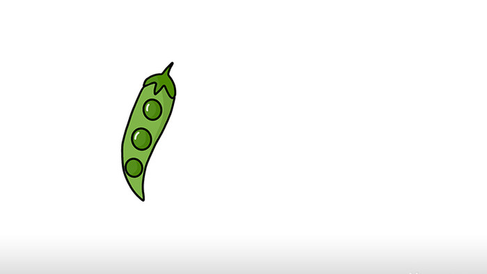 简约扁平画风蔬菜类食品类豌豆mg动画