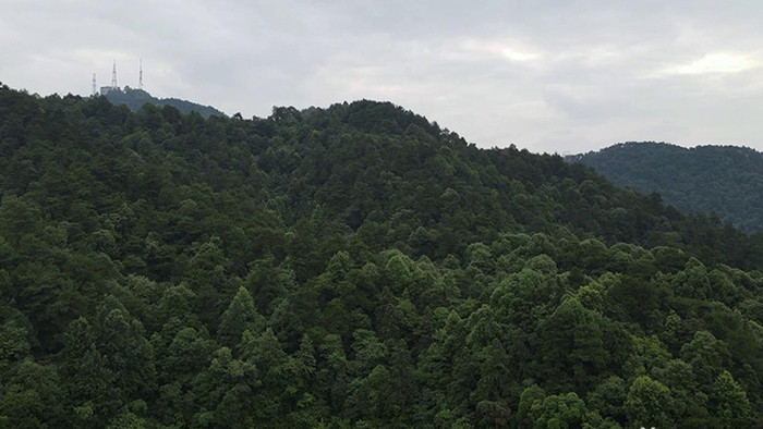 自然风光湖南怀化中坡山国家森林公园航拍