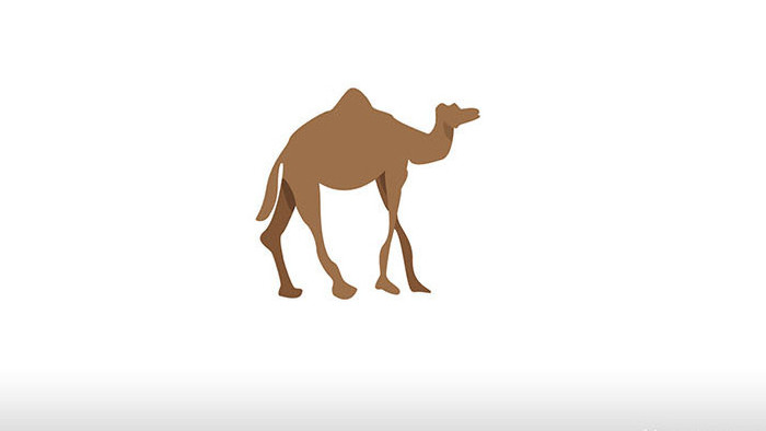 简约扁平画风沙漠动物类骆驼mg动画